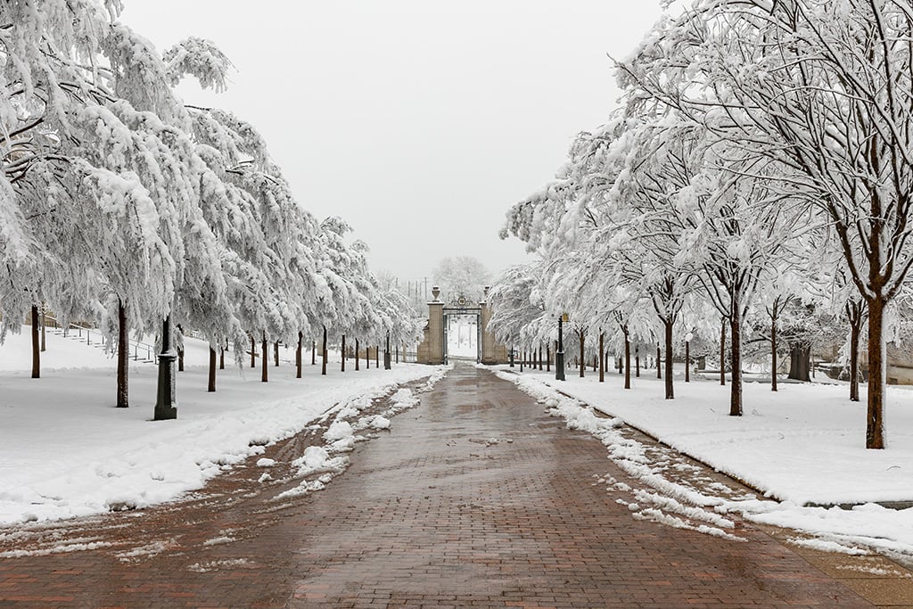 University of Arkansas closed Tuesday, Jan. 31 due to inclement weather